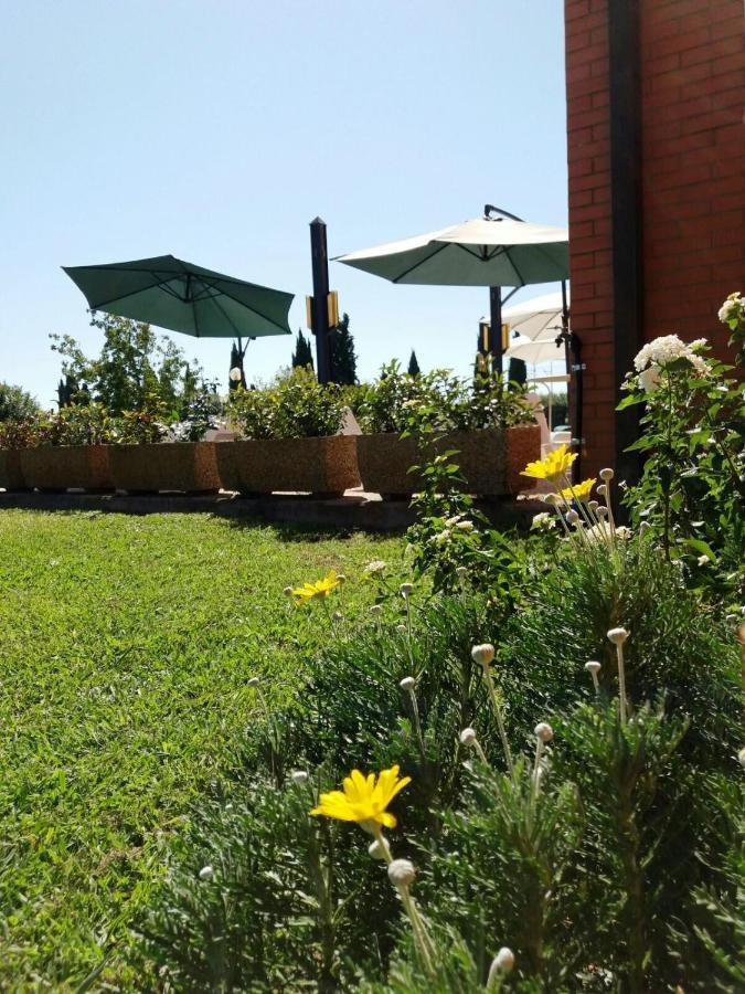 Meditur Hotel Pisa Migliarino Pisano Εξωτερικό φωτογραφία